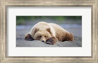 Bear Life X Fine Art Print