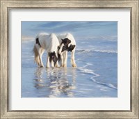 Water Horses I Fine Art Print