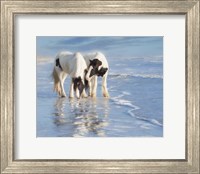 Water Horses I Fine Art Print