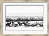 Water Horses III Fine Art Print