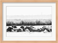 Water Horses III Fine Art Print