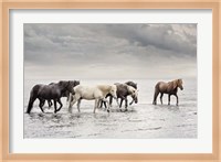 Water Horses IV Fine Art Print