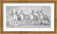 Water Horses V Fine Art Print