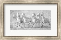 Water Horses V Fine Art Print