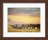 Sunkissed Horses I Fine Art Print