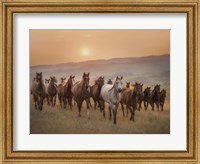 Sunkissed Horses II Fine Art Print