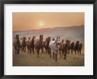 Sunkissed Horses II Fine Art Print