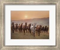 Sunkissed Horses II Fine Art Print