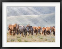 Sunkissed Horses III Fine Art Print