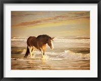 Sunkissed Horses V Fine Art Print