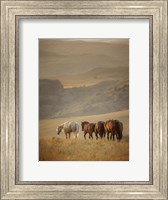 Sunkissed Horses VI Fine Art Print