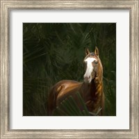 Wild II Fine Art Print