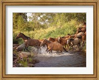 River Horses II Fine Art Print