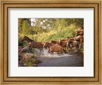 River Horses II Fine Art Print