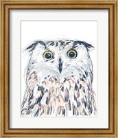 Funky Owl Portrait II Fine Art Print