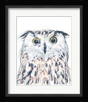 Funky Owl Portrait II Framed Print