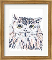 Funky Owl Portrait III Fine Art Print
