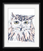 Funky Owl Portrait III Framed Print