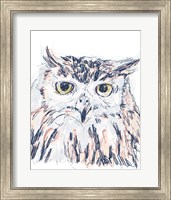 Funky Owl Portrait III Fine Art Print