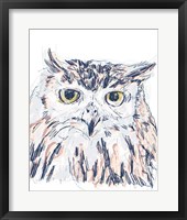 Funky Owl Portrait III Framed Print