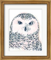 Funky Owl Portrait IV Fine Art Print