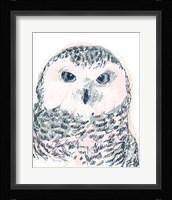 Funky Owl Portrait IV Framed Print