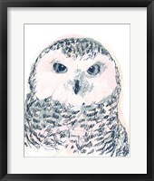 Funky Owl Portrait IV Framed Print