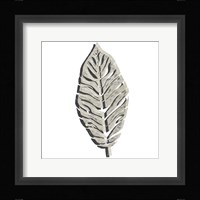 Cut Paper Palms II Framed Print