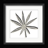 Cut Paper Palms III Framed Print