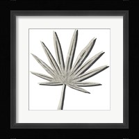 Cut Paper Palms IV Framed Print