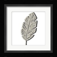 Cut Paper Palms V Framed Print