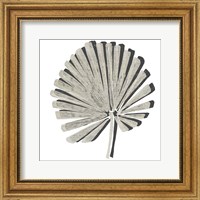 Cut Paper Palms VI Fine Art Print