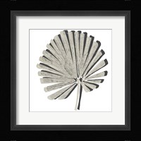 Cut Paper Palms VI Framed Print