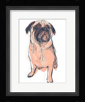 Dog Portrait--Dave Framed Print