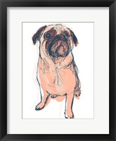 Dog Portrait--Dave Framed Print