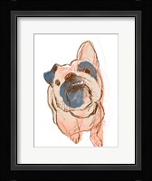 Dog Portrait--Bobo Framed Print
