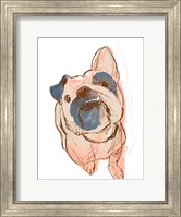 Dog Portrait--Bobo Fine Art Print
