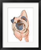 Dog Portrait--Bobo Framed Print