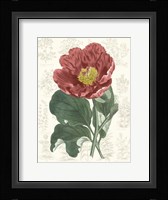 Peony Flower Garden I Fine Art Print