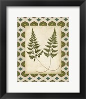 Moroccan Ferns I Fine Art Print