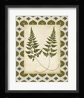 Moroccan Ferns I Fine Art Print