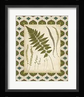 Moroccan Ferns II Fine Art Print