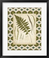 Moroccan Ferns II Framed Print
