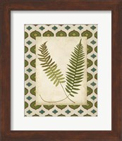 Moroccan Ferns III Fine Art Print
