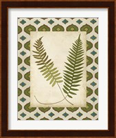 Moroccan Ferns III Fine Art Print