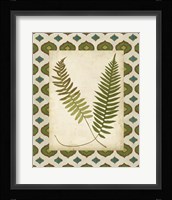 Moroccan Ferns III Fine Art Print
