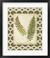 Moroccan Ferns III Framed Print