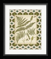 Moroccan Ferns IV Fine Art Print