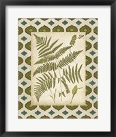 Moroccan Ferns IV Framed Print