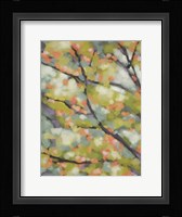 Dappled Dusk I Framed Print